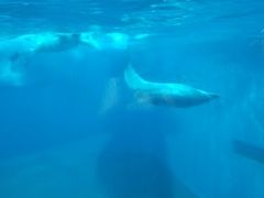 -福州罗源湾海洋世界旅游区