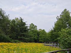 -昆山城市生态森林公园