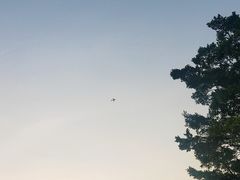-福田红树林生态公园