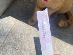 -天龙宝严素食馆(大兴善寺店)