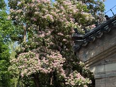 -承恩寺