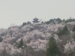-白水寺森林公园