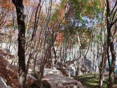 -崂山巨峰游览区