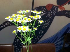 -鲸山上·私房日料(泰达MSD店)