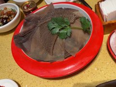 -田鸭肠·非遗火锅(彭州店)
