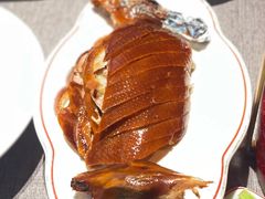 -秀儿四九城·新京菜(亚运村鸟巢店)