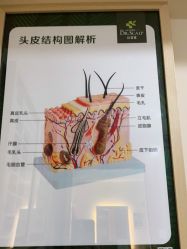 -丝客富脱发养发头皮馆