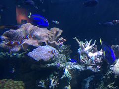 -海合安天津极地海洋公园