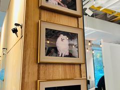 -ID.PHOTO照相馆(嘉里企业中心店)