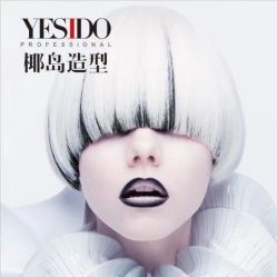 -YESIDO椰岛造型