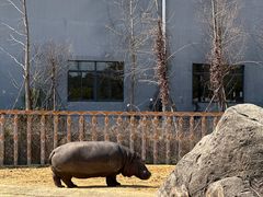 -杭州野生动物世界