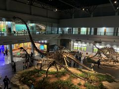 -自贡恐龙博物馆