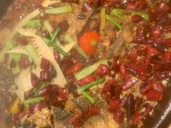 -老板恋上鱼(印象城店)