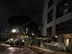 -上海外滩茂悦大酒店