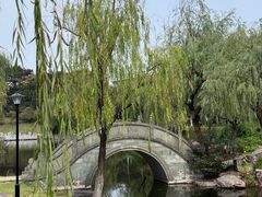 -日出青木