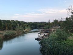 -上海长兴岛郊野公园