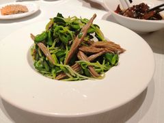 黑腐竹豆苗-北京厨房(西安SKP店)