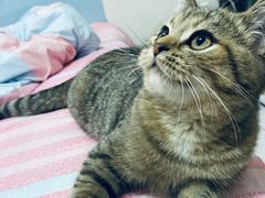 -太原东方动物医院(小店分院)