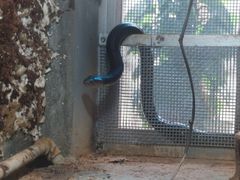 -南宁市动物园