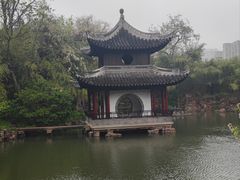 -水绘园