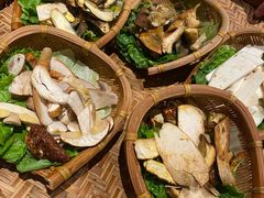 -滇野云南野生菌餐厅(陕西南路店)