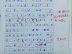 -学知乐教育·幼小衔接·小学科辅导(嘉定镇校区)