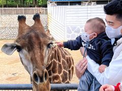 -泉州海丝野生动物世界