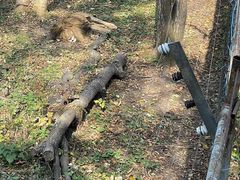 -哈尔滨北方森林动物园