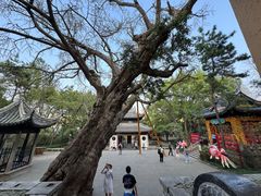 -无锡惠山寺