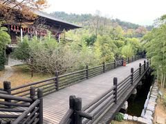 -大唐贡茶院