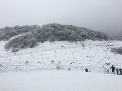 -太子岭滑雪场