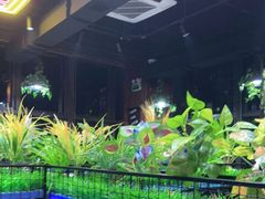 -牛鲜盛齐齐哈尔烤肉(曹路店)