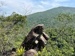 -海南霸王岭国家森林公园