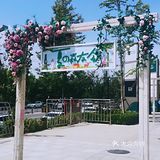 实现车厘子自由，免费遛娃喂白鸽的小镇，原来在这里！