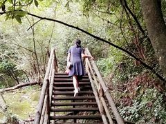 -东天目山风景区