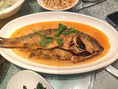 -真定郝家排骨(正定县总店)