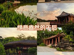 -顺峰山公园