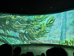 -诸城市恐龙博物馆