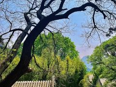 -潭柘寺景区