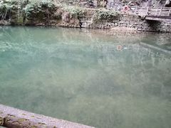 -溪口-滕头旅游景区