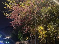 -华南理工大学五山校区-运动场