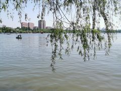 -济南大明湖景区