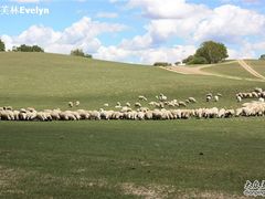 -塞罕坝国家级自然保护区