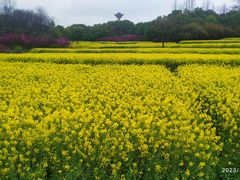 -杏花村文化旅游区