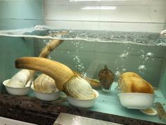 -甄御•海鲜新青岛菜(麦岛店)