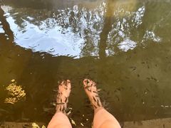 -扬州瘦西湖温泉