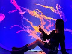 -海合安成都极地海洋公园