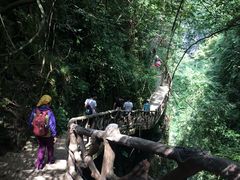 -鹿院坪生态旅游景区