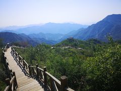-大岭沟猕猴桃谷风景区