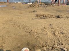-碧海金沙